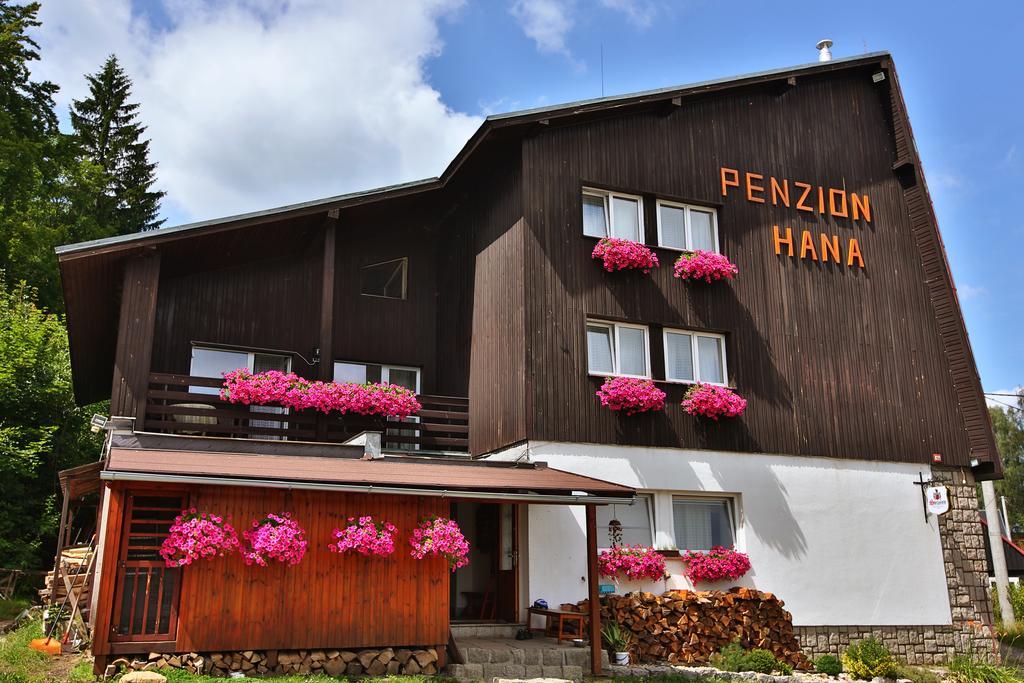 Penzion HANA Albrechtice v Jizerskych horach Exteriér fotografie